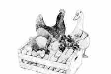 Photo of Fra jord til bord Photo of Fra jord til bord