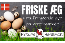 Photo of Hyrups Hønemor Photo of Hyrups Hønemor