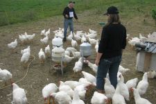 Photo of Steen Nørhede Photo of Steen Nørhede